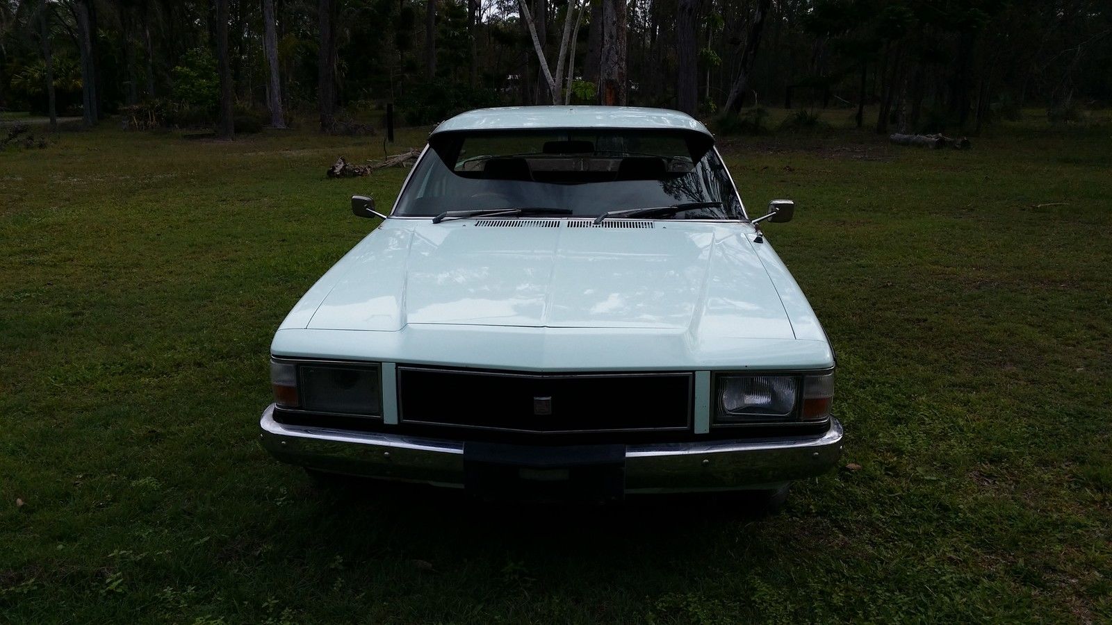 WB Holden in Mist Green — Kingswood Coupe-Utility