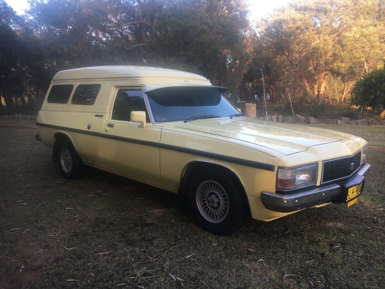WB Holden in Cameo Yellow — Panel Van