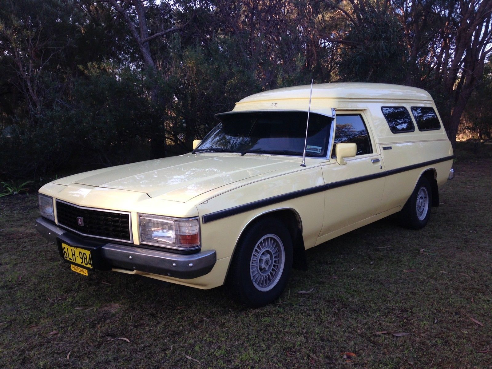 WB Holden in Cameo Yellow — Panel Van