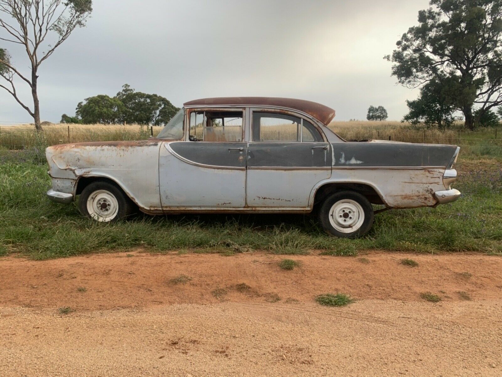 FB Holden in Iris with Dartford Grey Insert — Special Sedan