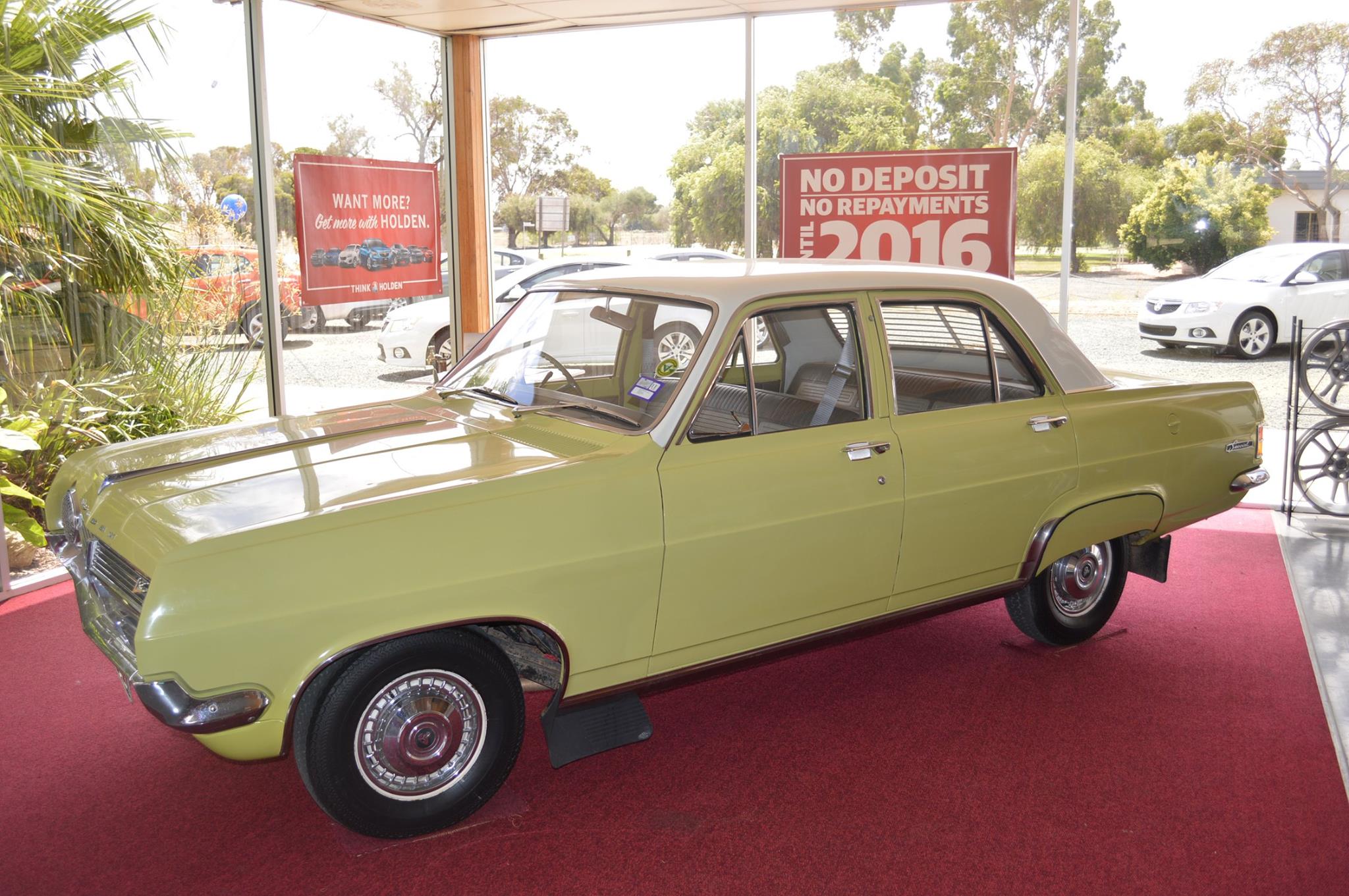 HD Holden in Fowlers Ivory over Bullfinch Green — Special Sedan