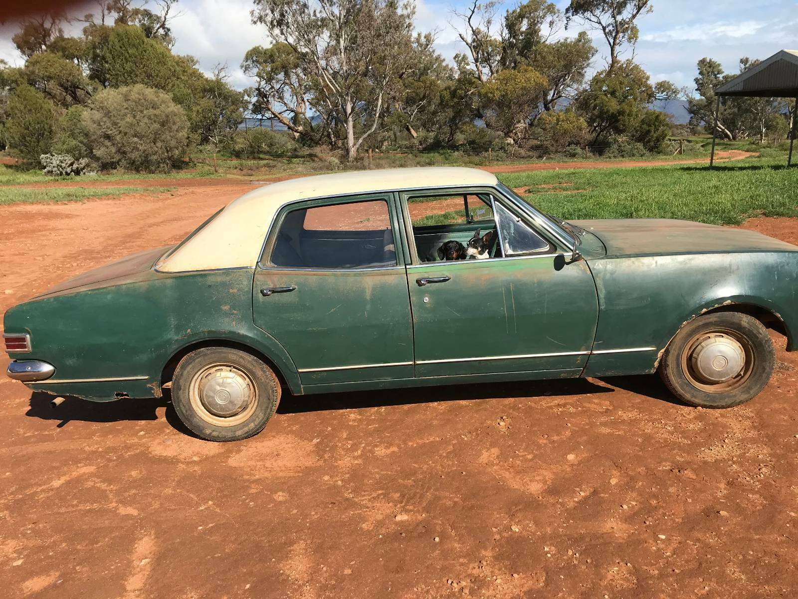 HK Holden in Pinaroo Beige over Woodsman Green — Kingswood  Sedan