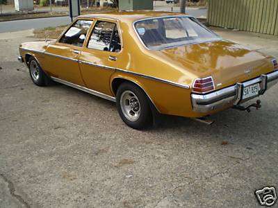 HZ Holden in Dynasty Gold Met