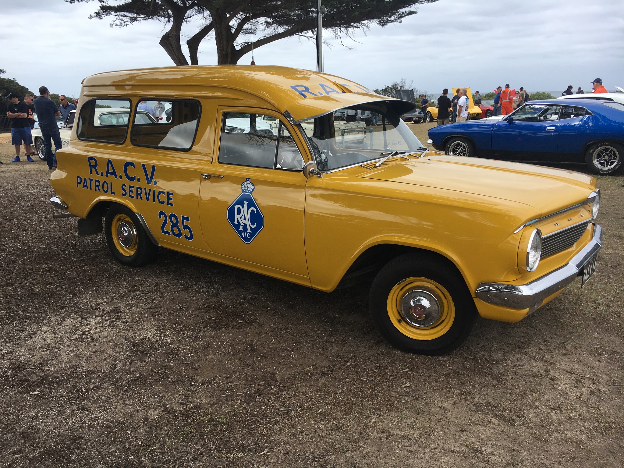 EJ Holden in Pale Gold — Panel Van