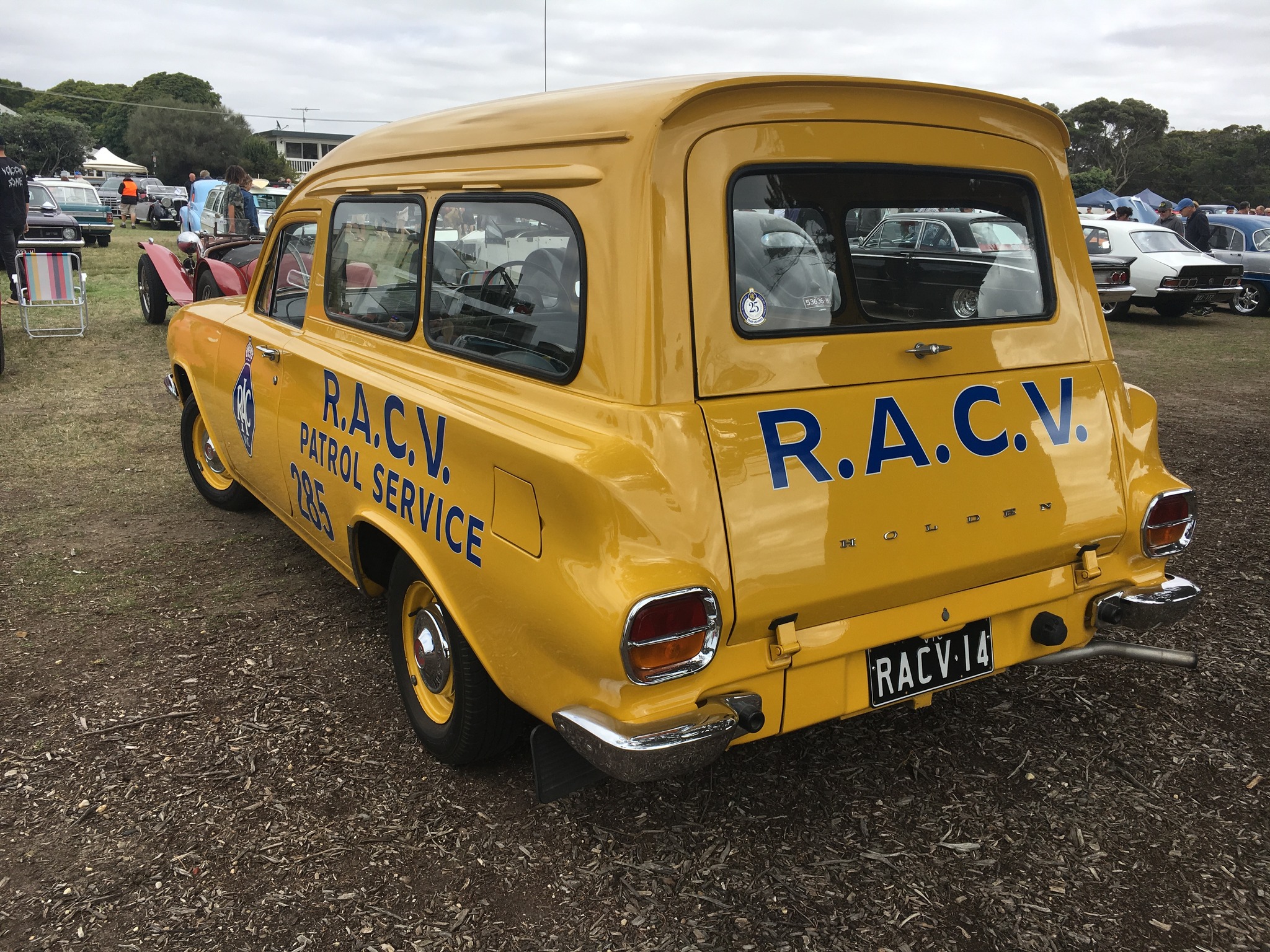 EJ Holden in Pale Gold — Panel Van
