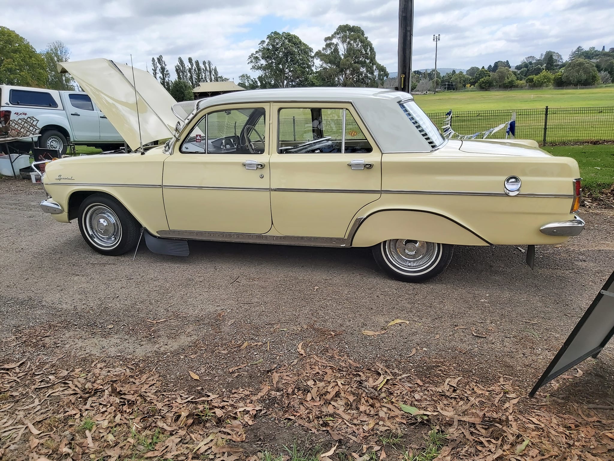 EH Holden in Fowlers Ivory over Latrobe Cream — Special Sedan