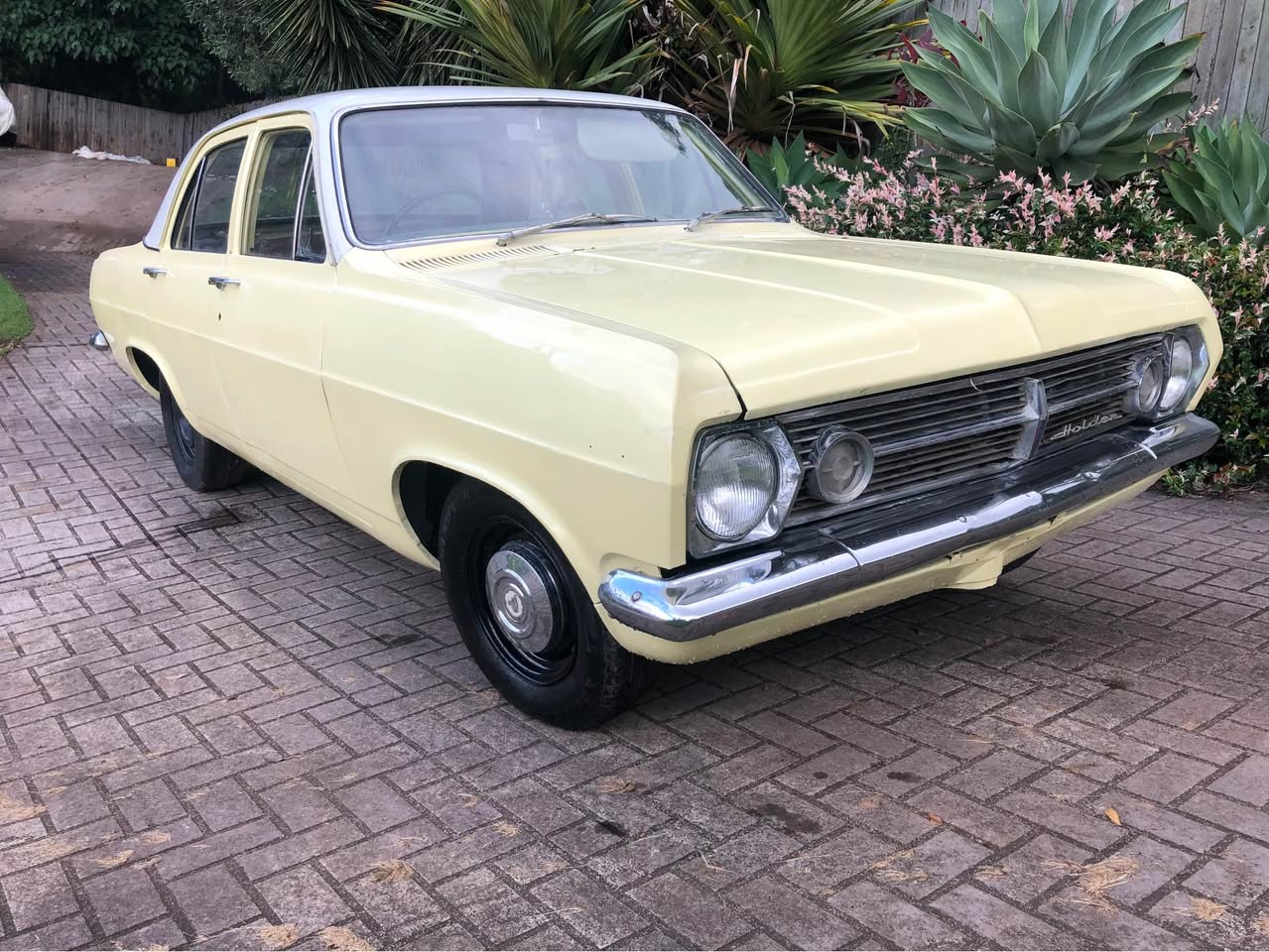 HR Holden in Grecian White over Jervois Cream — Special Sedan
