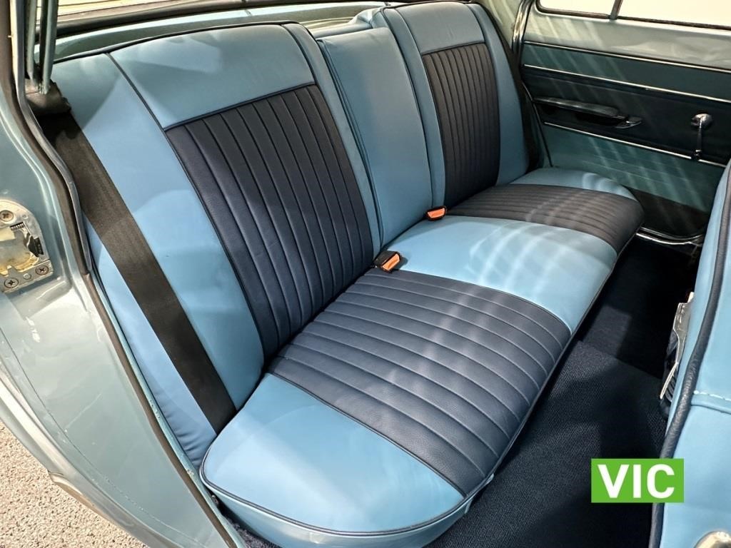 EJ Holden with Merle & Pagoda Blue trim — Premier Sedan