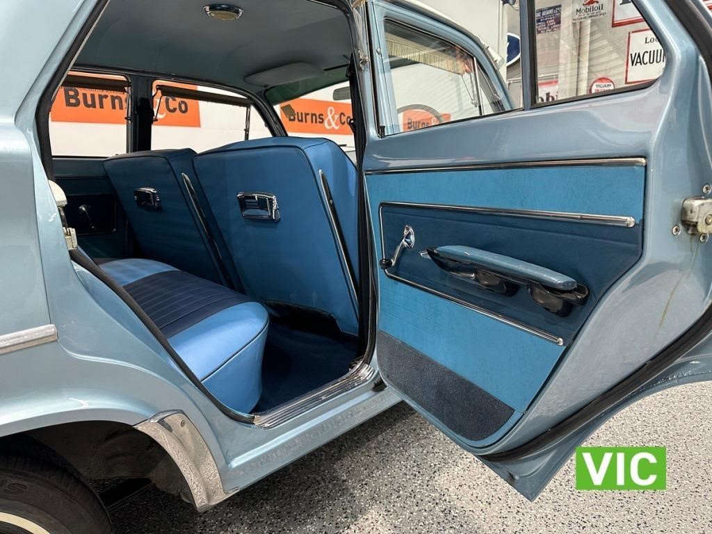 EJ Holden with Merle & Pagoda Blue trim — Premier Sedan